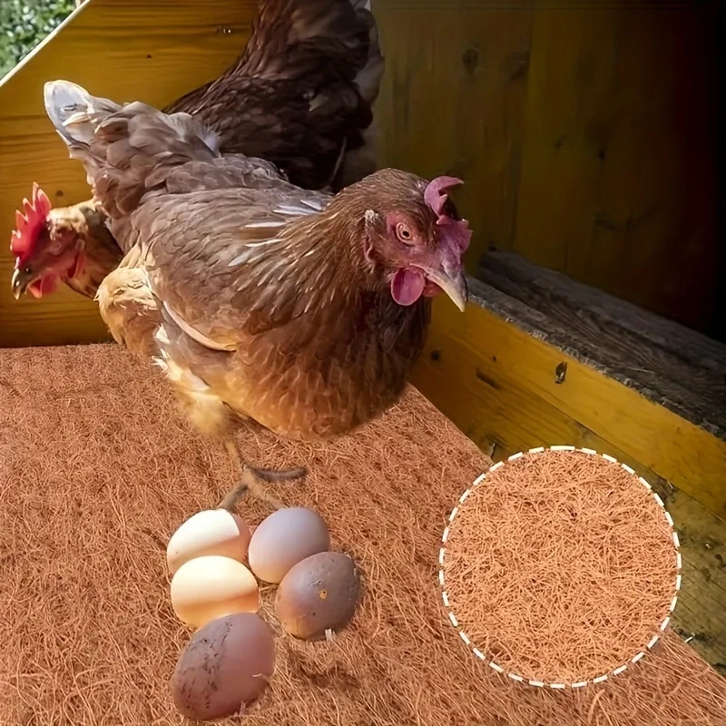 Esteras anidadas de madera no desechables para pollos, almohadillas portátiles para ropa de cama para gallinas, suministros para gallinero de aves de corral, almohadillas para nido ecológicas - imagen 3