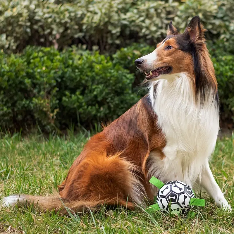 Pelota interactiva bonita para mascotas para perros medianos y pequeños, pelotas hinchables, suministros para bolos, fútbol, accesorios para mascotas - imagen 2