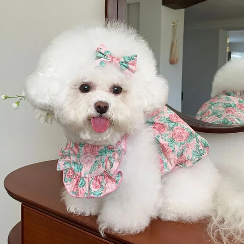 Ropa para perros y gatos, correa Floral, moda de verano, ropa fina de dos piernas para mascotas, camisa con mangas voladoras, falda de encaje para cachorros y perros pequeños - imagen 4