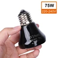 75W lamp black 220V