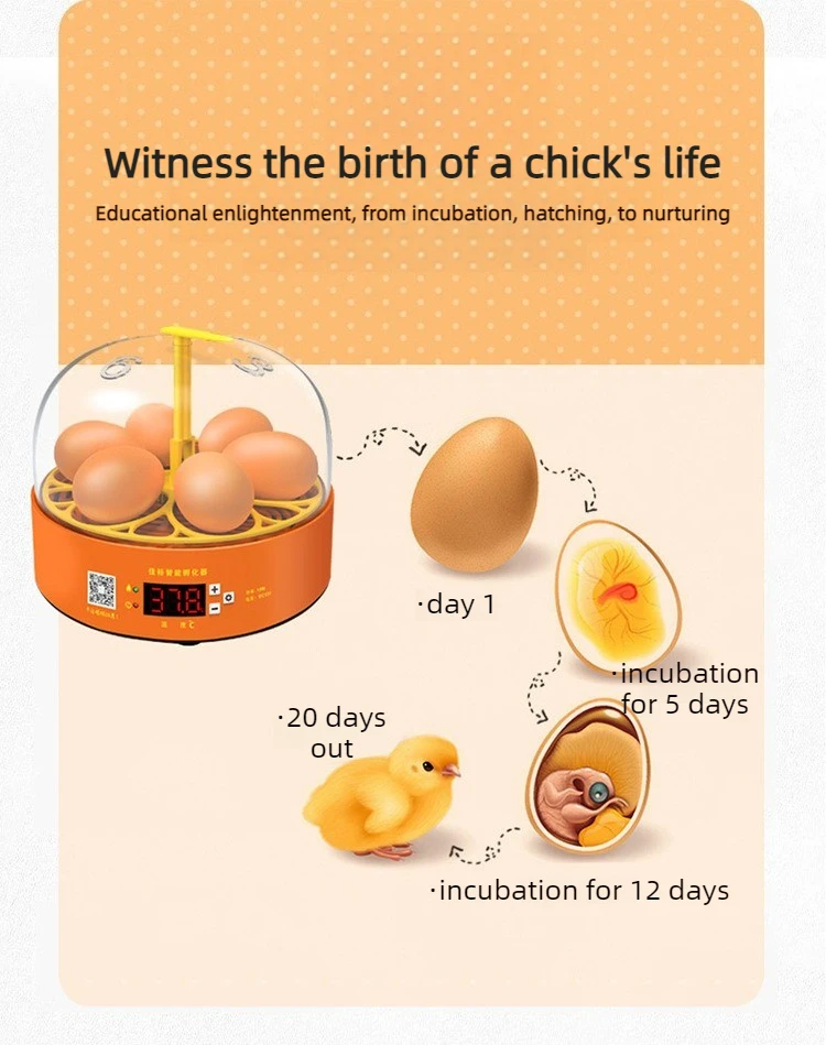 Interior mostrando distribución de calor y ventilación