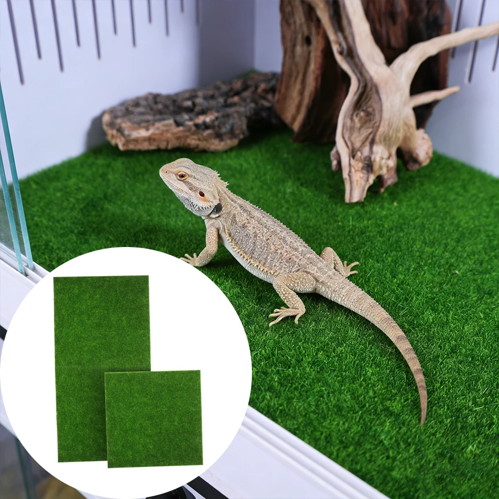 Césped artificial musgo para terrarios de reptiles, lagartos y gecos - imagen 4