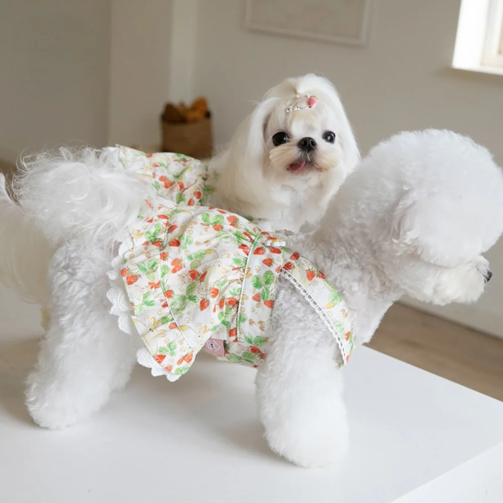 INS-vestido de tirantes con estampado de fresas para mascotas, falda de encaje, vestido de peluche para perros y gatos, ropa para cachorros, ropa para perros - imagen 3