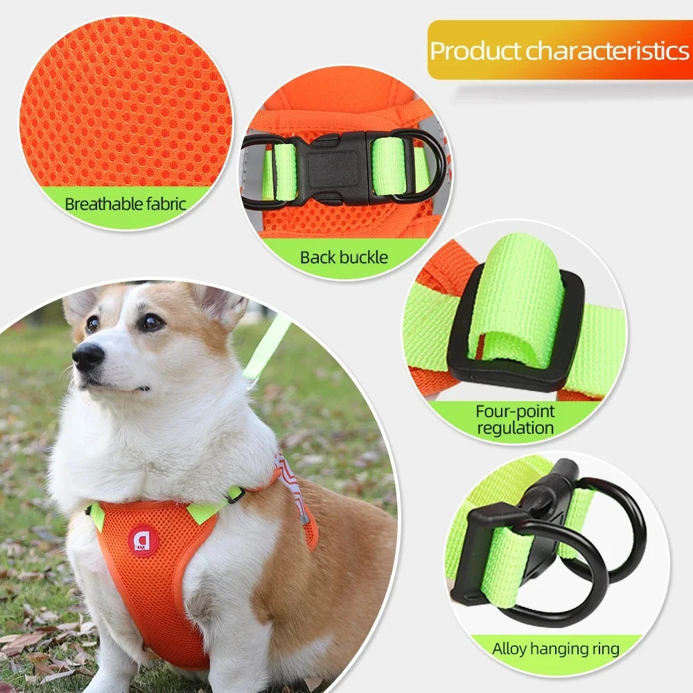 Arnés reflectante y transpirable para perro, conjunto de correa ajustable sin tirones, accesorios para cachorros y gatitos - imagen 4