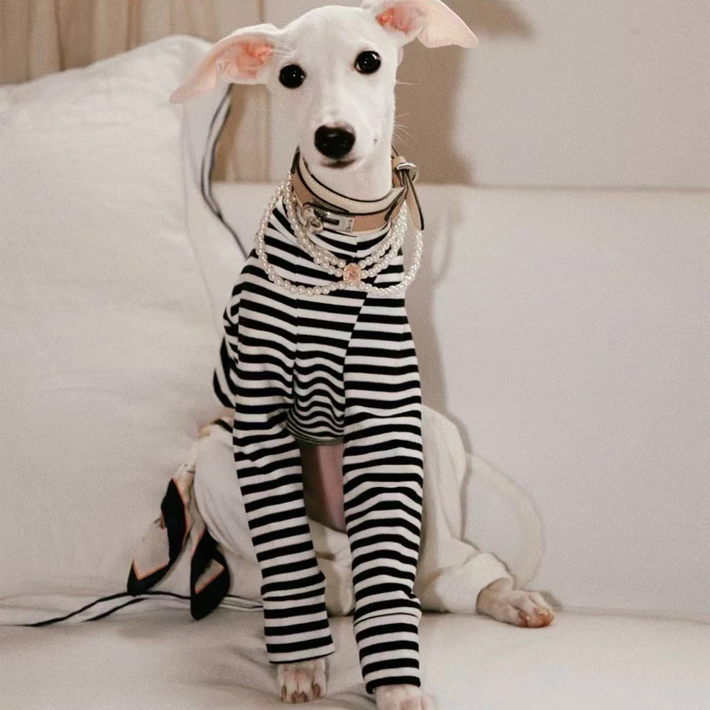 Ropa a rayas de moda para perros Whippet, mono de algodón de una pieza, camiseta, pantalones para galgo italiano Bedlington - imagen 5