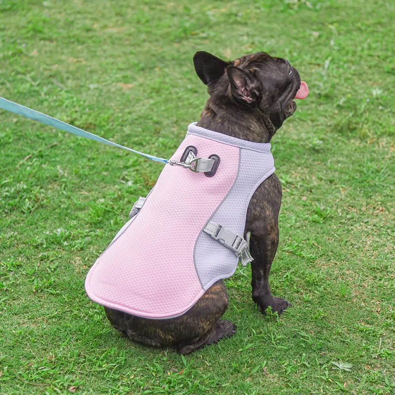 Chaleco de malla transpirable para perros pequeños, medianos y grandes, chaquetas frescas para mascotas al aire libre, arnés de verano - imagen 5