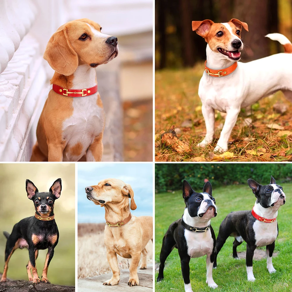 Collar de cuero genuino para perros pequeños y medianos, accesorios de Metal para mascotas, Bulldog Francés, moda - imagen 5