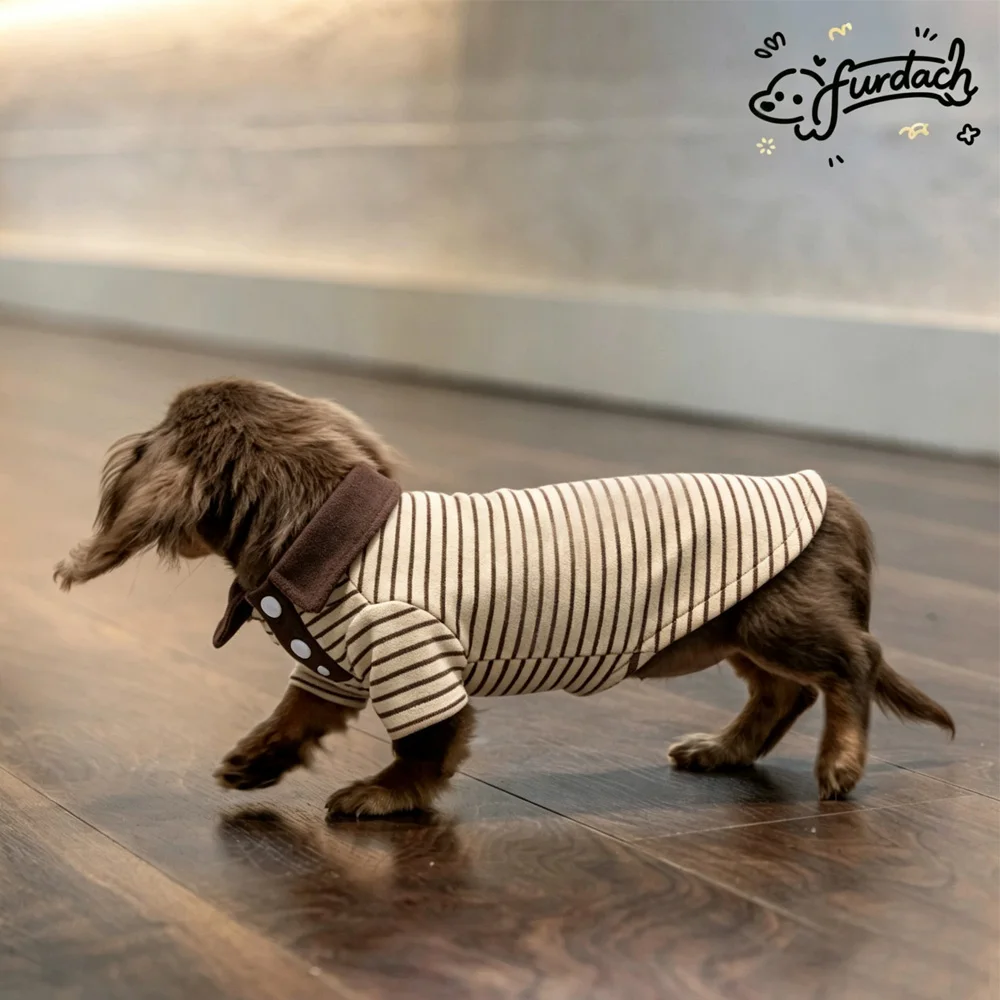 Camiseta de algodón a rayas para perro salchicha – Polo teckel - imagen 5