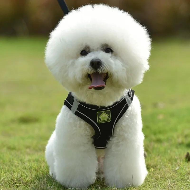 Arnés reflectante para perro – Ajustable y transpirable - imagen 3