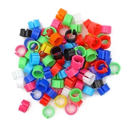 Anillos plásticos para patas de aves pequeñas palomas y codornices