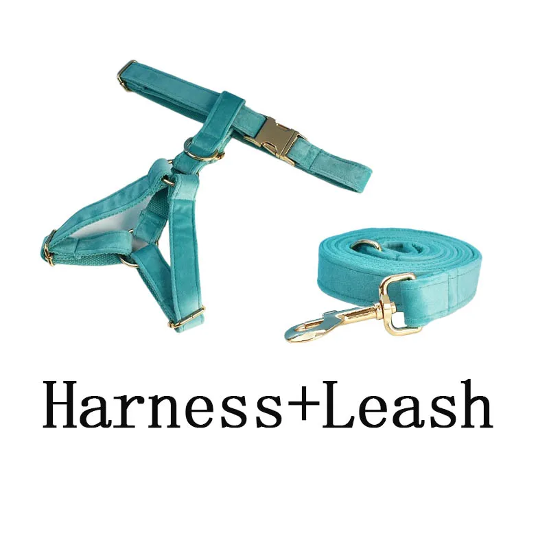 harness leash