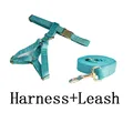 harness leash