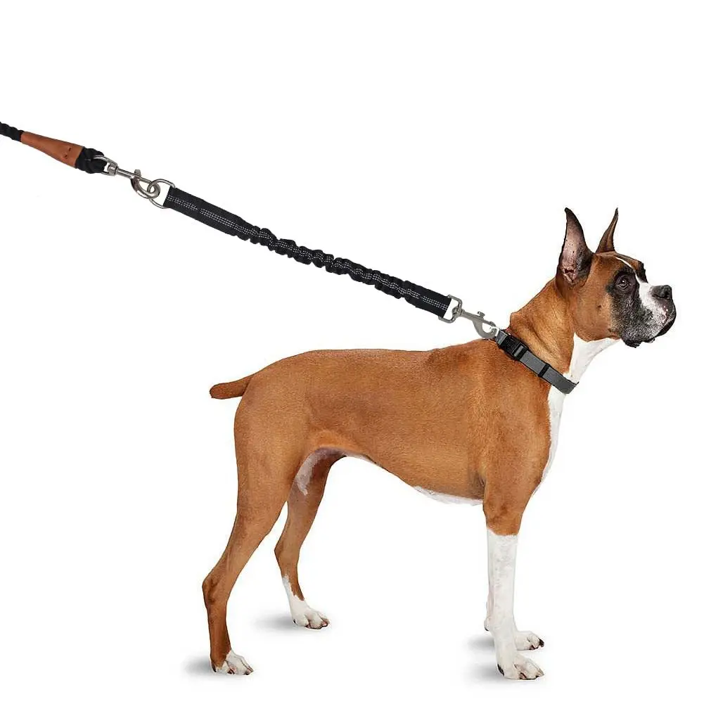 Amortisseur de plomb pour chien, corde élastique pour animaux de compagnie, jouets indestructibles, fils de marche, Extension élastique, laisse d'entraînement noire - imagen 2
