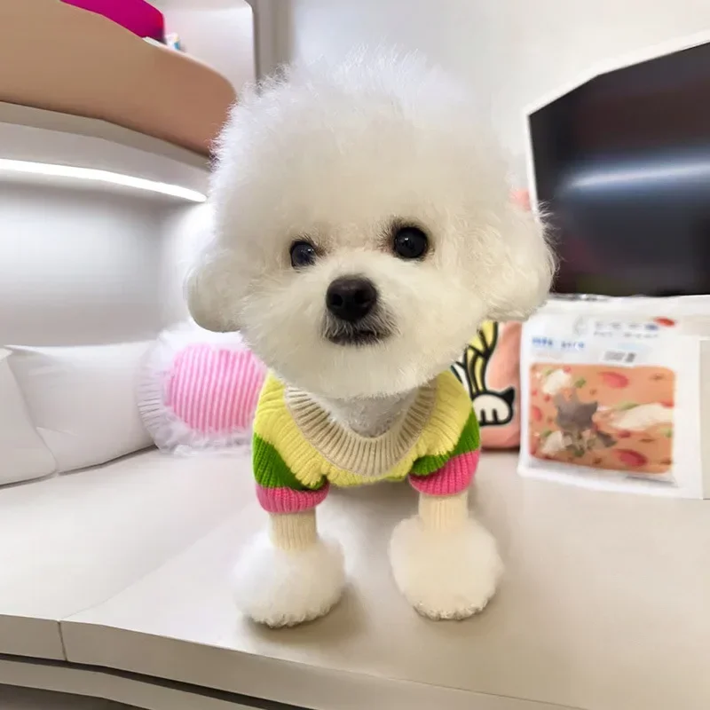 Suéter de arcoíris a rayas para perros, ropa de otoño, osos Yorkshire maltés pequeños, ropa para cachorros, suéter para Gato, ropa para perros pequeños - imagen 4