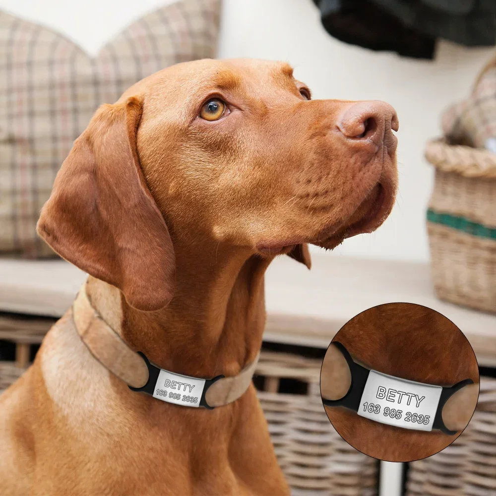 Etiqueta de silicona de acero inoxidable para perro y gato, placa de identificación personalizada con nombre grabado, Collar suave antipérdida - imagen 2