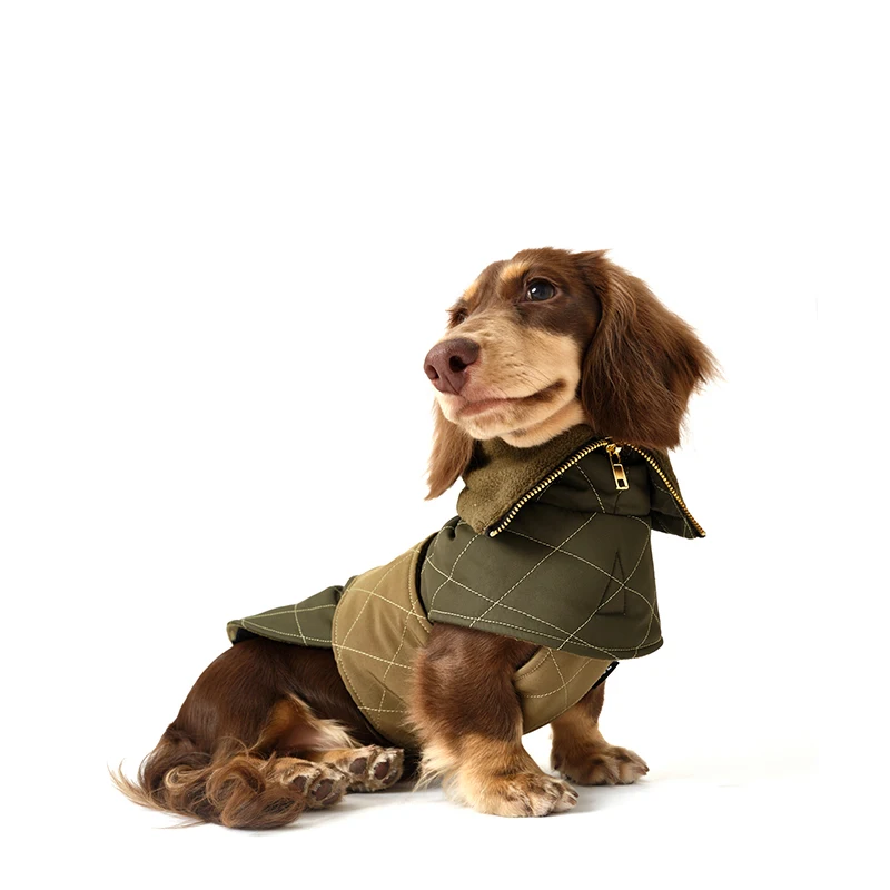 Abrigo verde militar elegante para perros salchicha, abrigo de invierno para perros Wiener, capa cálida a prueba de viento para perros pequeños, medianos y grandes - imagen 4