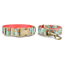 Collar personalizado con placa ID para perros y gatos – Ajustable