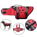 JSY09 ladybug