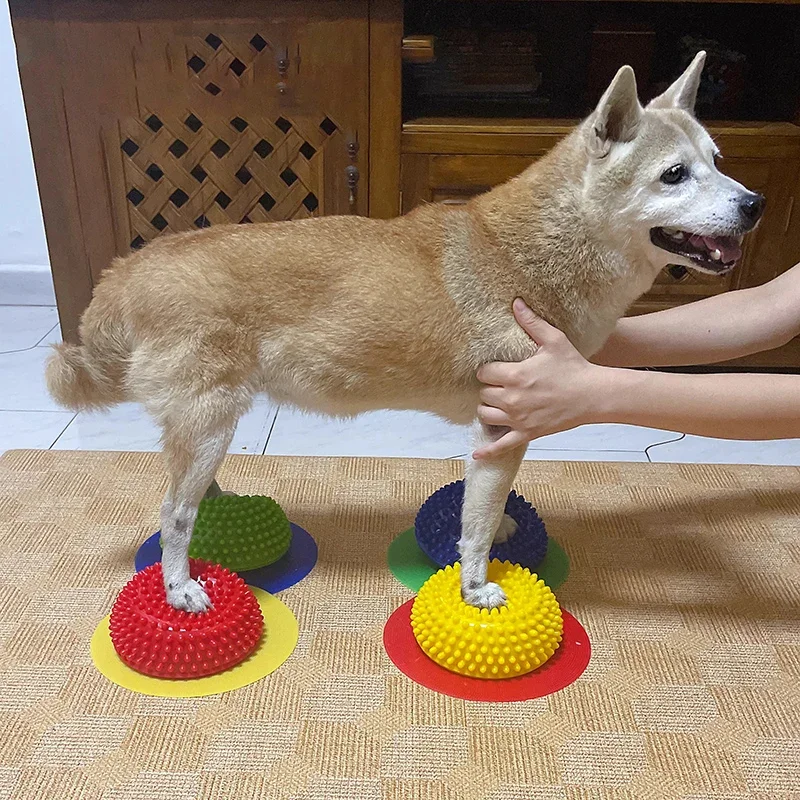 AVC-almohadilla de pata de perro para mascota, entrenamiento hemiesférico, corrección de equilibrio nervioso, atrofia muscular, cirugía, rótula de rodilla, columna Lumbar, producto para mascotas - imagen 3