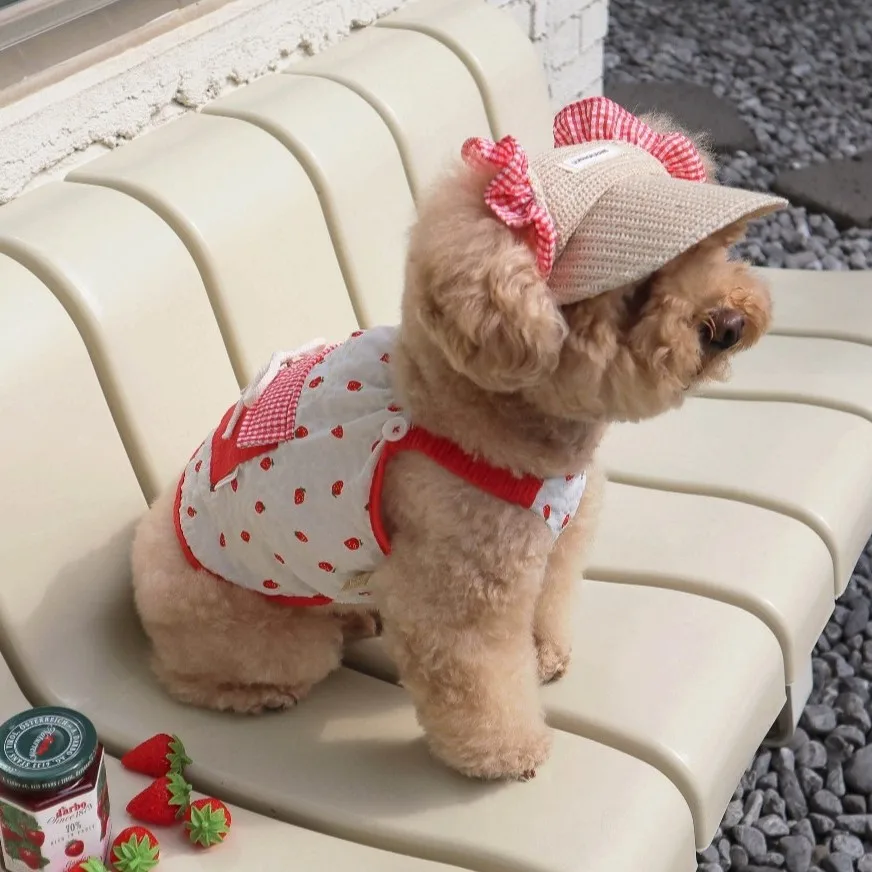 Chaleco a cuadros con sombrero para gatos y perros - imagen 5