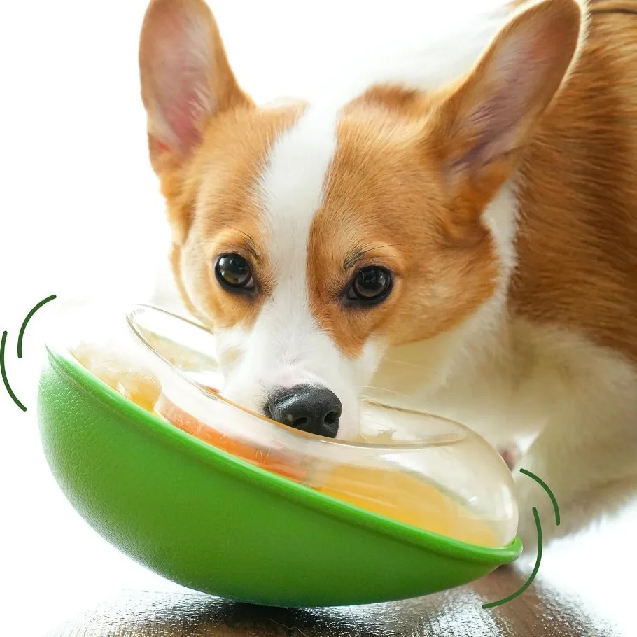 Tazón aguacate anti-derrames lento para perros, gatos y cachorros - imagen 2