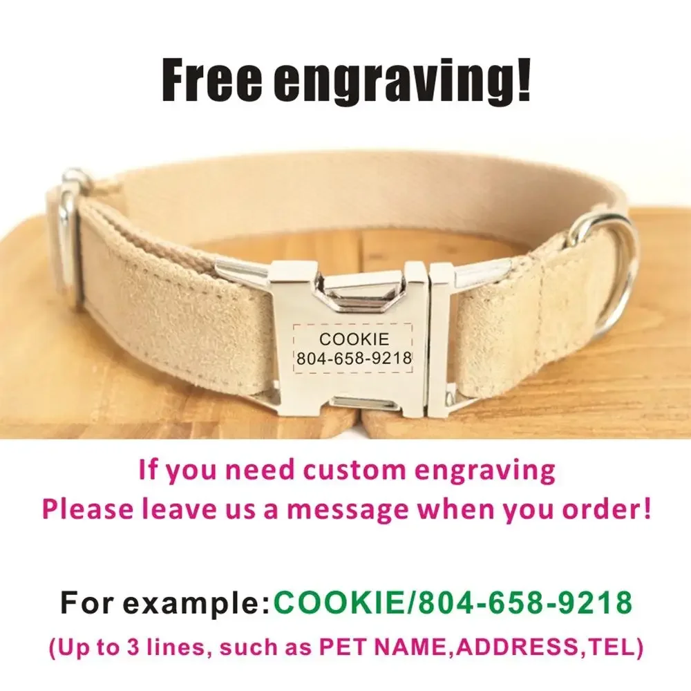 Collar personalizado para perro, correa de terciopelo Beige para cachorro, placa de identificación con grabado gratis, accesorio para mascotas - imagen 4
