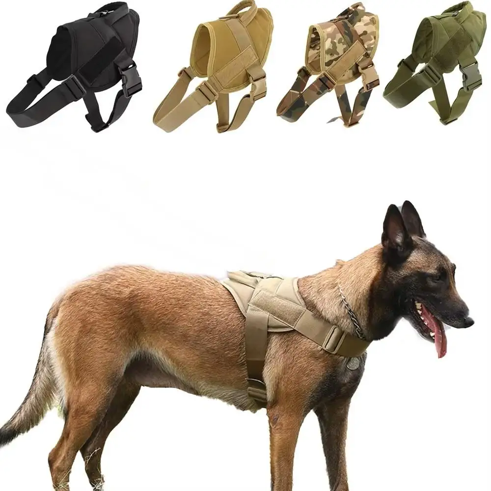 Ropa de moda primavera para perros y cachorros premium – Uso diario - imagen 4