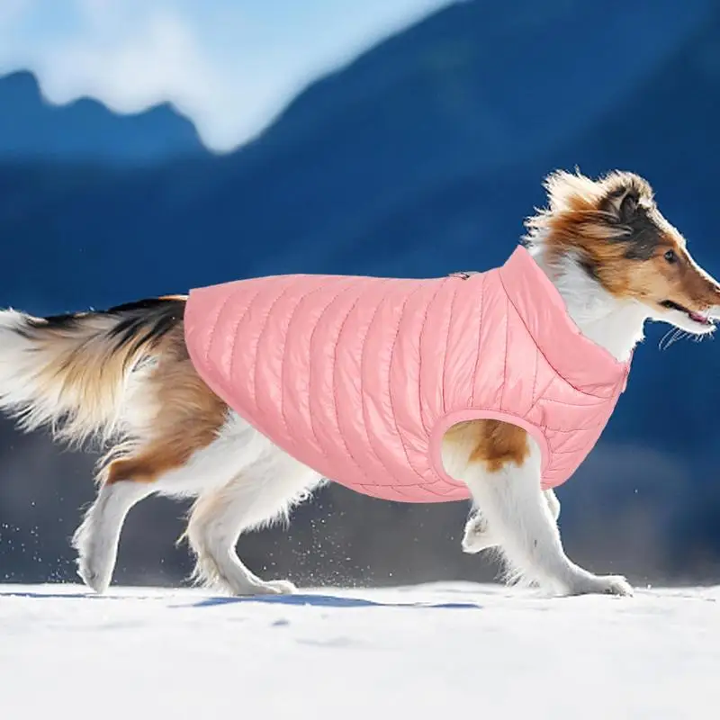 Chaleco cálido para perro, chaqueta de lana cálida para perro Chihuahua, Pug, Otoño e Invierno - imagen 2