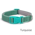 turquoise collar