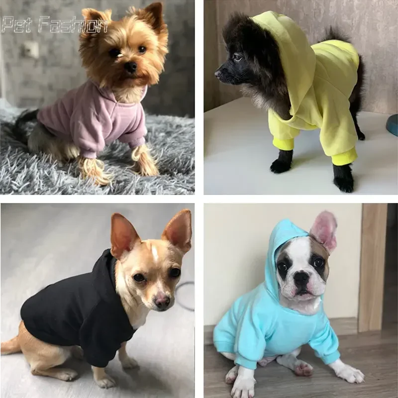 Sudaderas con capucha sólidas para perros y gatos pequeños, ropa para mascotas, abrigo, chaquetas, sudadera para Chihuahua, trajes para mascotas de algodón - imagen 2