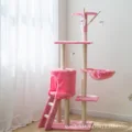 Magenta