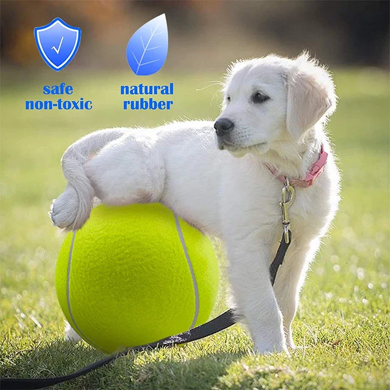 Juguetes para masticar para perros de 24cm, pelota de tenis, juguetes grandes para mascotas, pelota divertida para deportes al aire libre, regalo con agujas inflables, juguetes para perros grandes - imagen 3