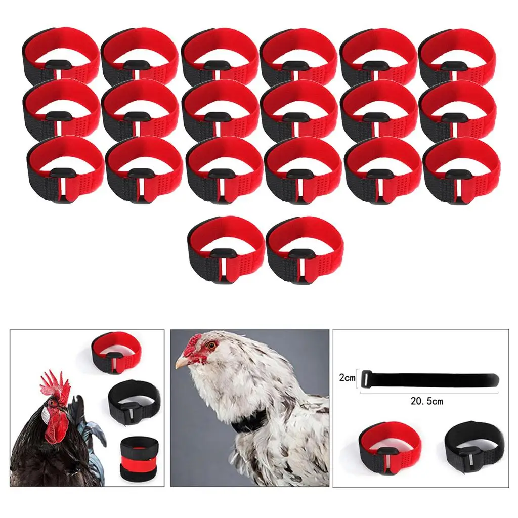 20 piezas de pollo con cuello para gritar para aves de corral y gallo - imagen 5