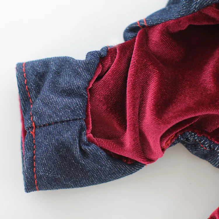 Abrigo con cuello de terciopelo para mascotas, ropa para perros pequeños y medianos, conjunto informal de vaquero, ropa de algodón de cuatro patas, ropa de invierno de dos piernas - imagen 5