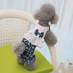 Ropa de verano para perros y gatos: vestidos, camisas o pijamas suaves