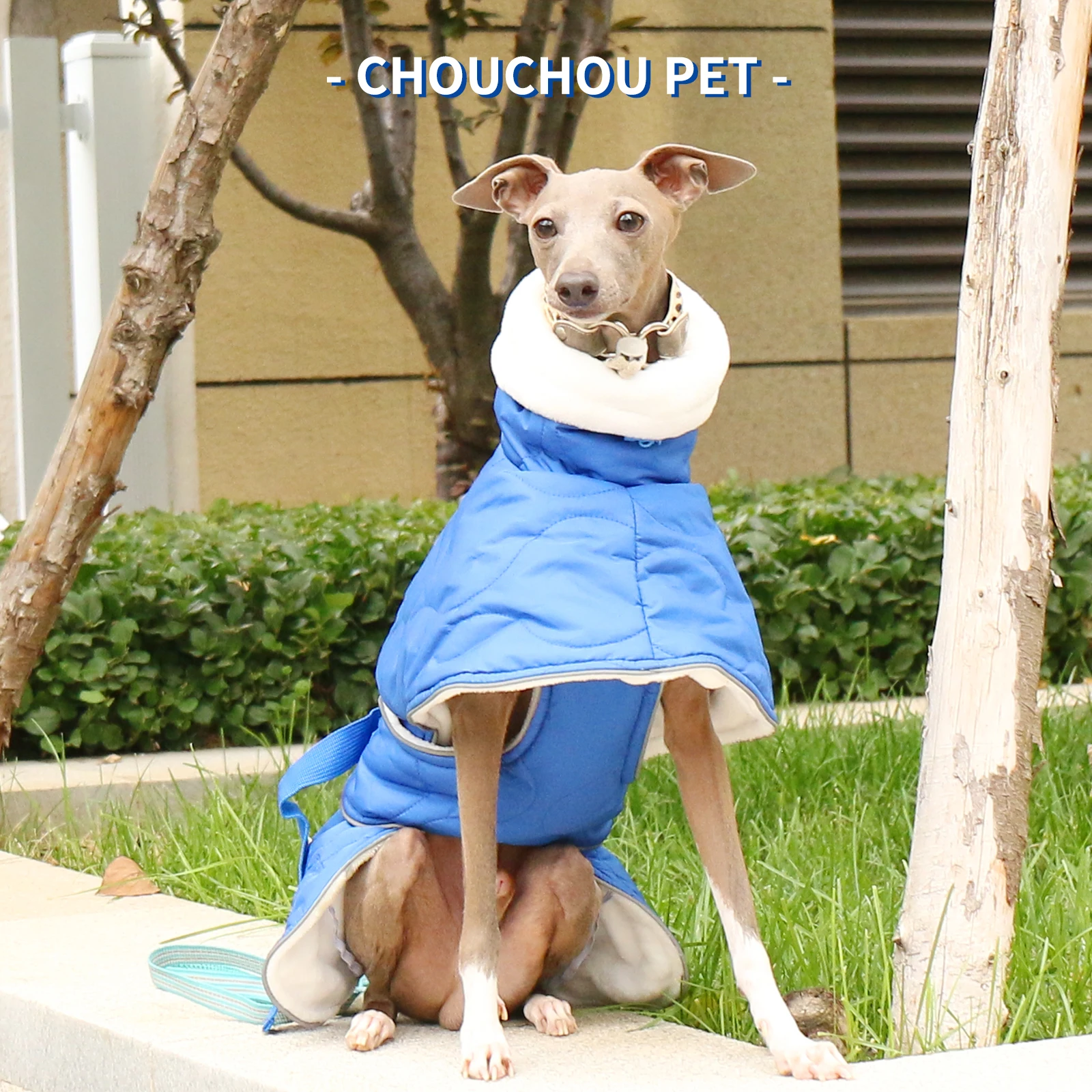 Chaqueta para mascotas gruesa impermeable cálida de algodón de invierno Whippet galgo italiano - imagen 4