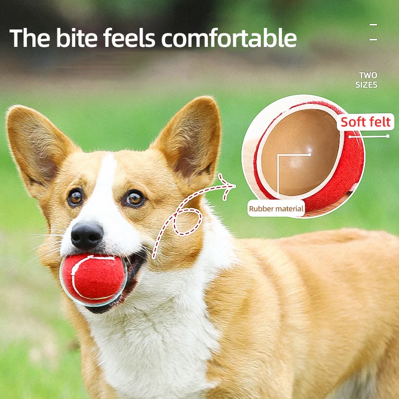 HOOPET-pelota de juguete interactiva para gatos, pelota para masticar y rascar, suministros de entrenamiento para mascotas, accesorios para mascotas - imagen 5