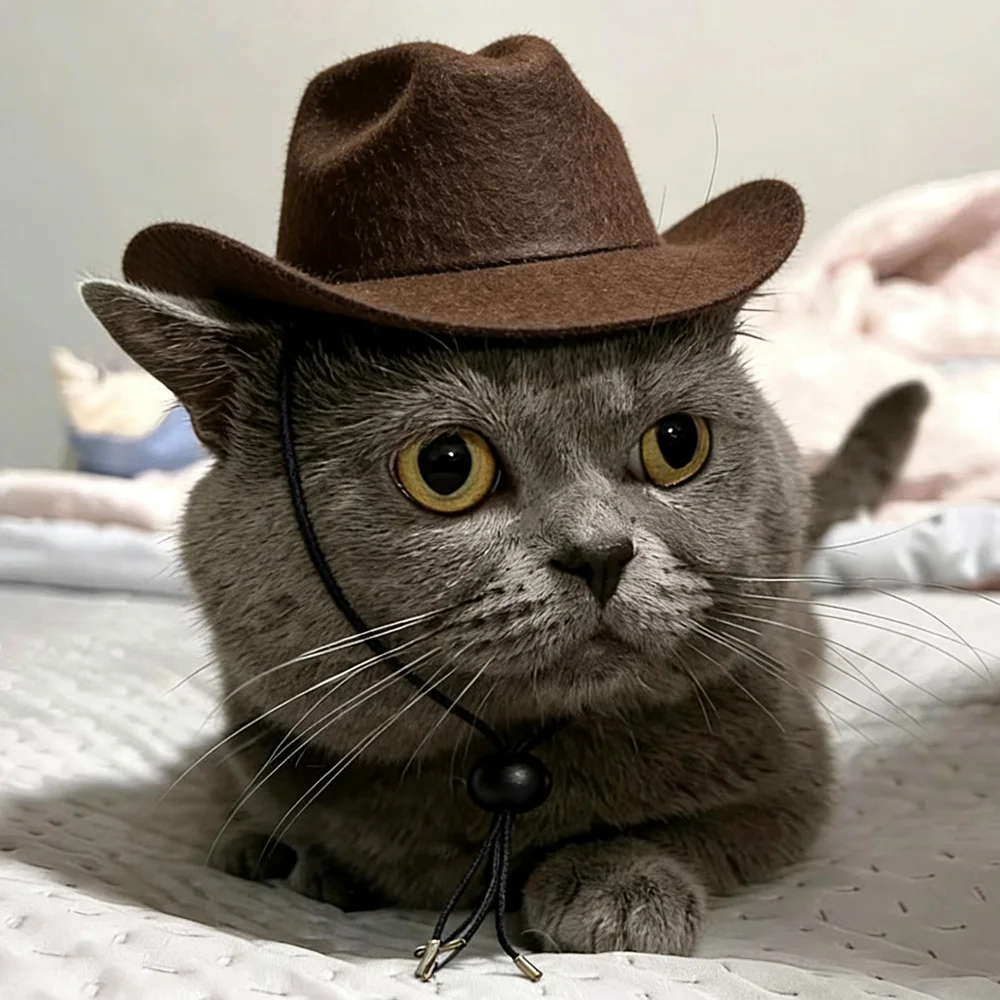 Gorro vaquero ajustable para perros y gatos Sphynx – Estilo occidental - imagen 4