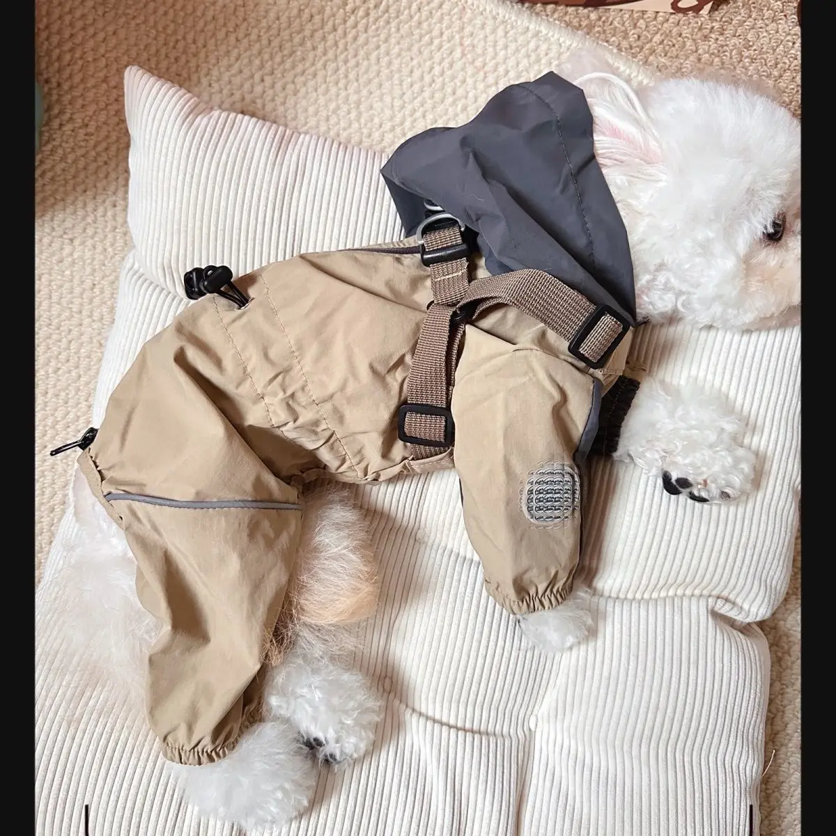 Mono de otoño e invierno para mascotas, bolsa a prueba de viento, pantalones pequeños de cuatro patas para el vientre, chaqueta para exteriores para mascotas, ropa para cachorros pequeños - imagen 4