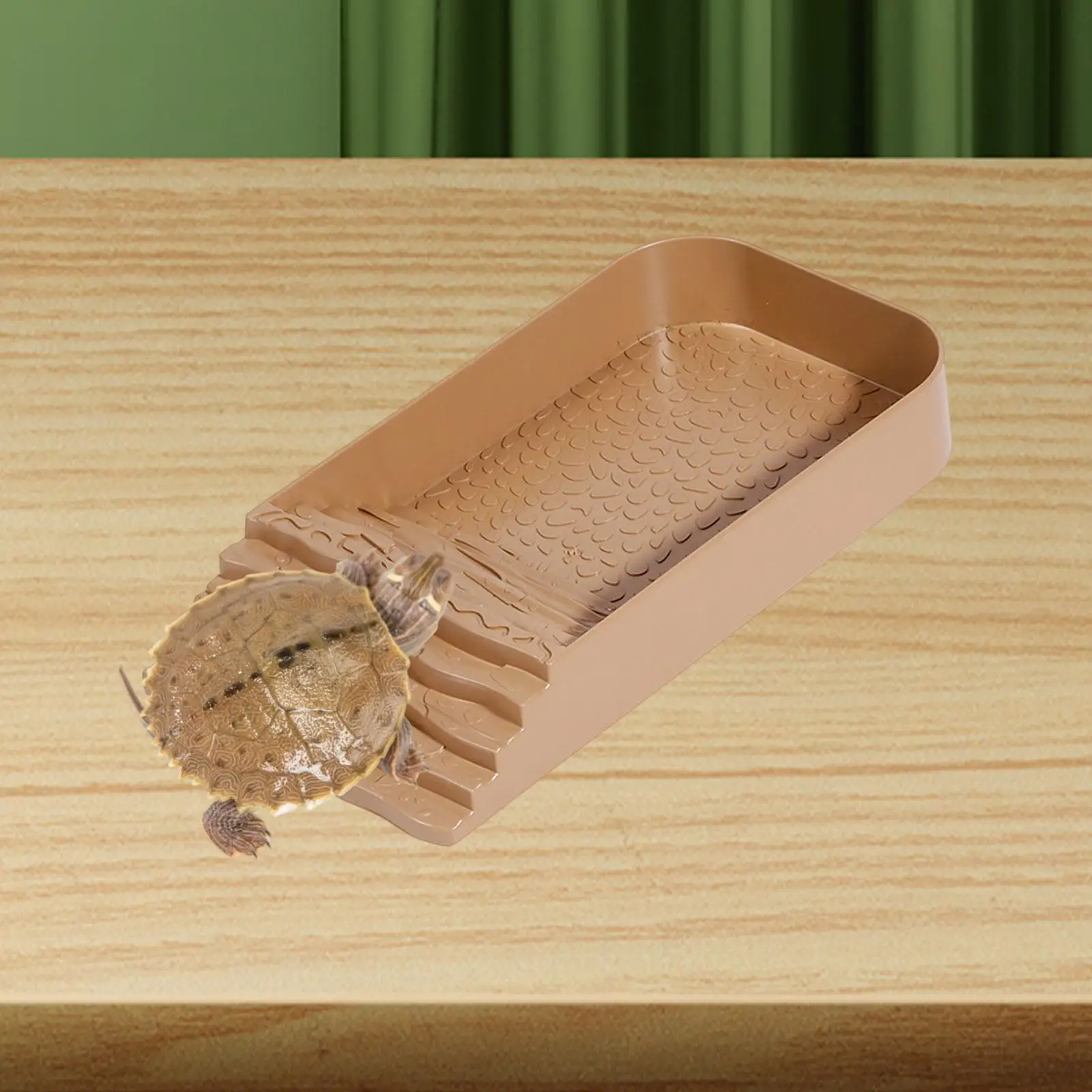 Reptile Water Dish with Ramp Lizards Habitat for Turtle Hamster Leopard