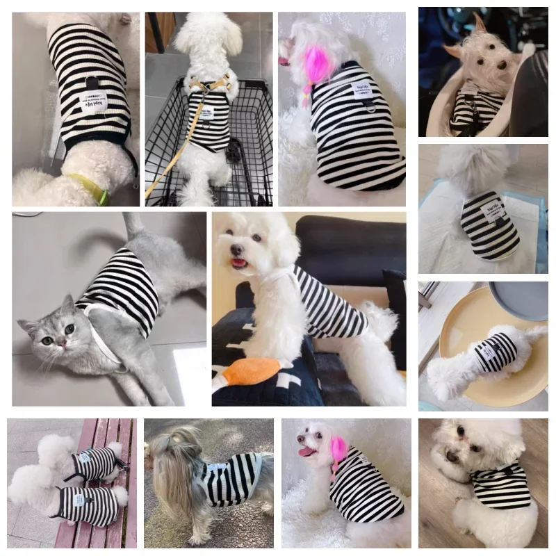 Chaleco de verano a rayas blancas y negras para mascotas, ropa bonita para cachorros, Bulldog, Chihuahua, tirantes para perros, ropa de algodón, disfraz para perros, camiseta para perros - imagen 5