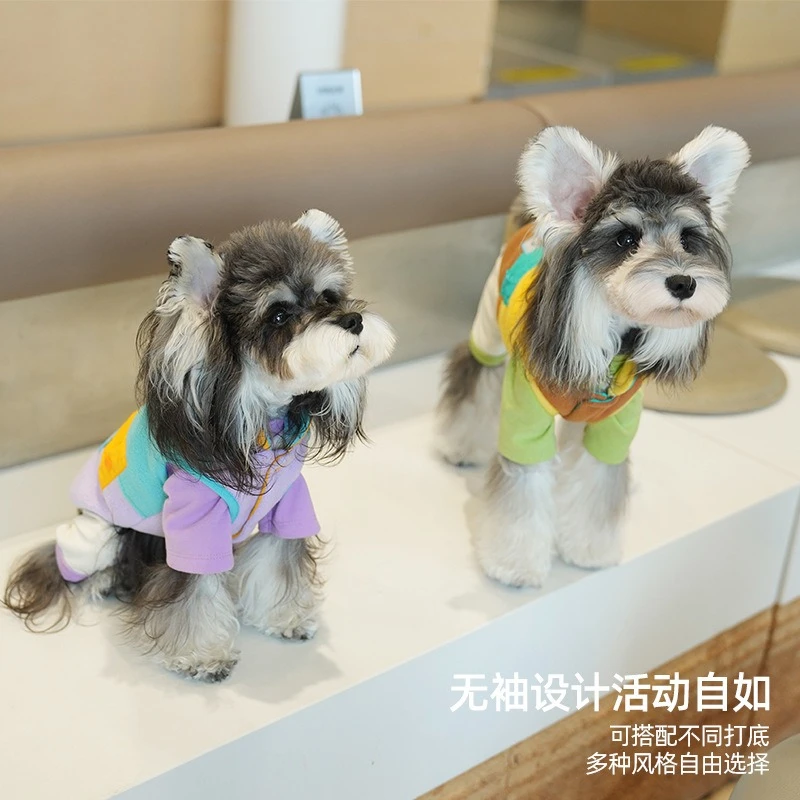 Chaleco de retazos de otoño e invierno para mascotas, abrigo para perros pequeños y gatos, chaleco de dos patas con oso de peluche, ropa para cachorros, ropa para perros pequeños - imagen 4