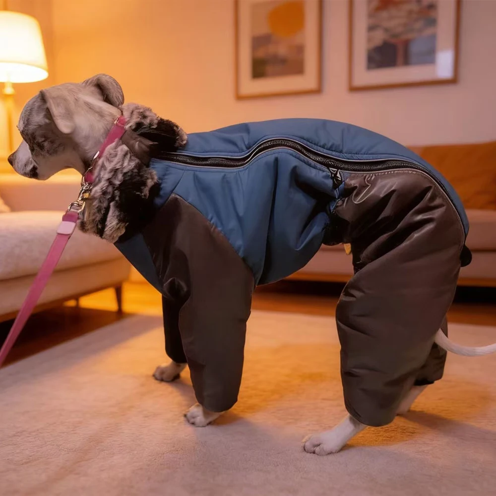 Chaqueta invierno cuello alto para galgo italiano, whippet y bedlington - imagen 4