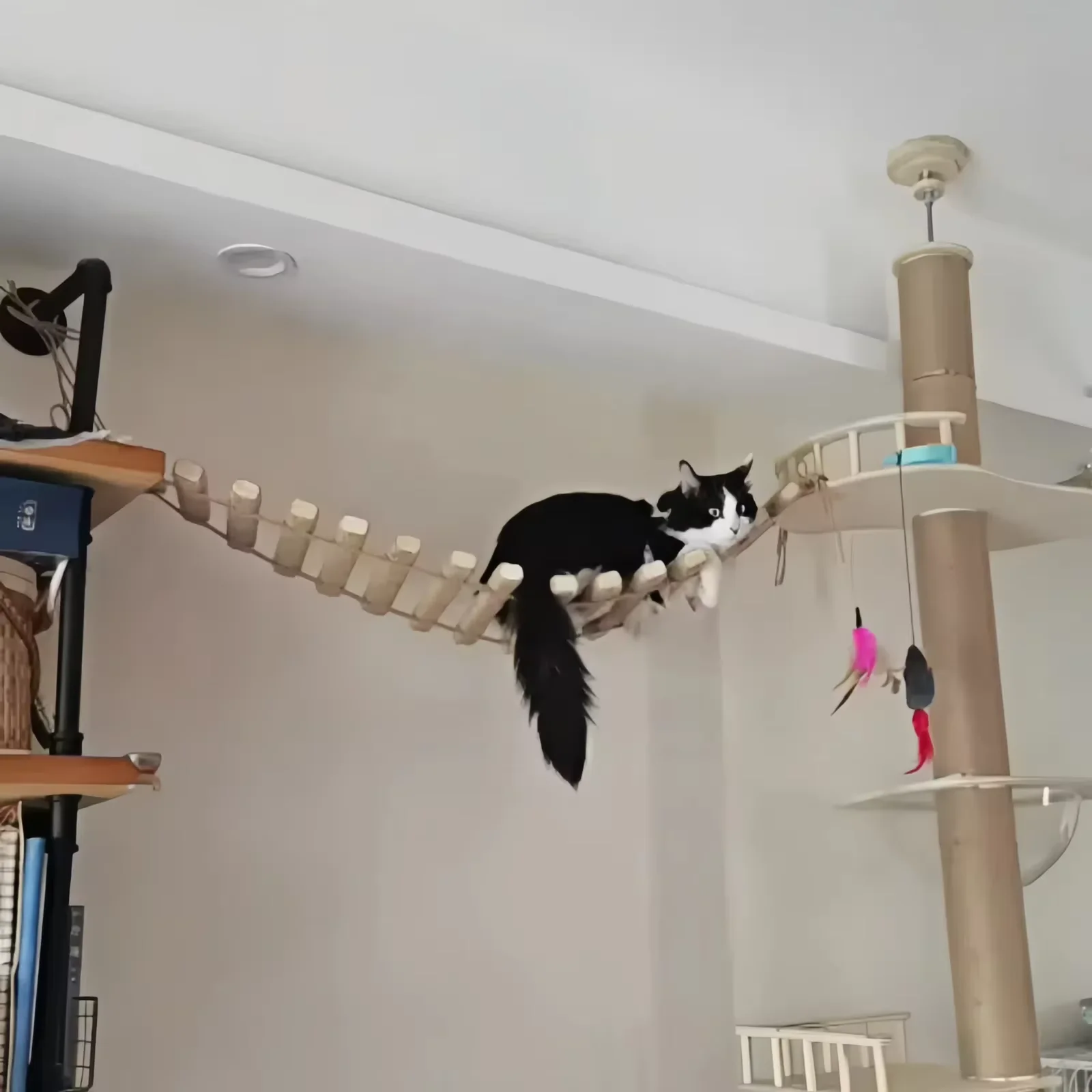 Escalera de escalada para gatos con sisal y madera maciza mural