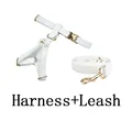 harness leash