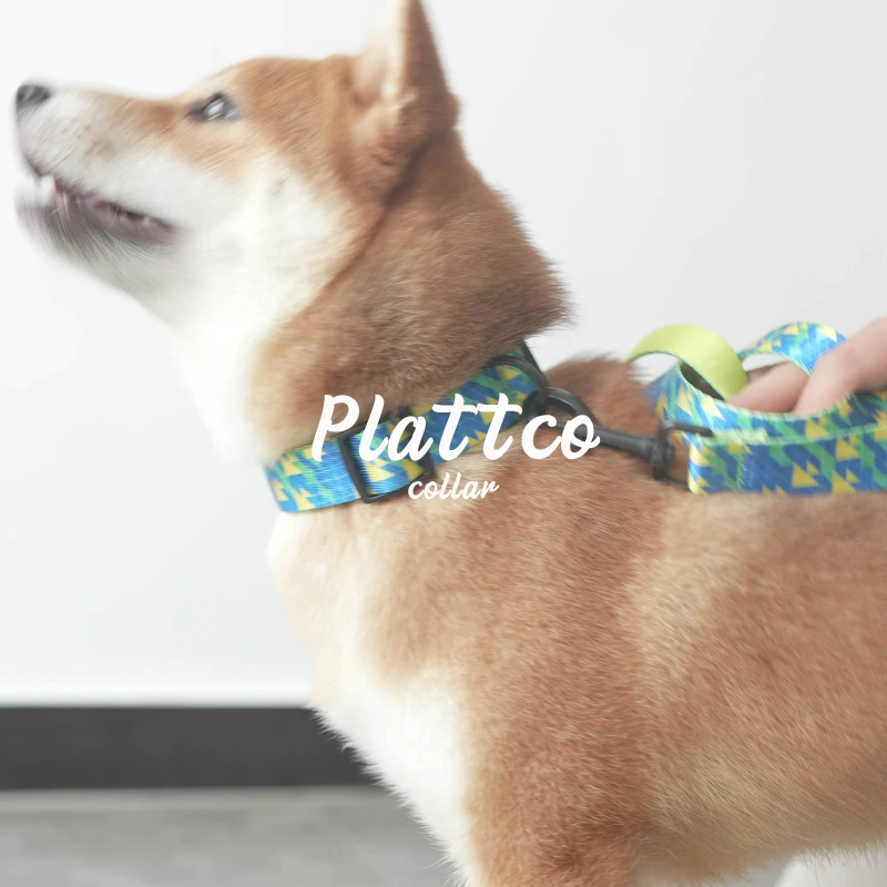 Collar de perro único PLATTCO SUNSET SEA con aleación de zinc y hebilla de plástico de alta calidad y respetuosa con el medio ambiente 5 tamaños PDC309 - imagen 5