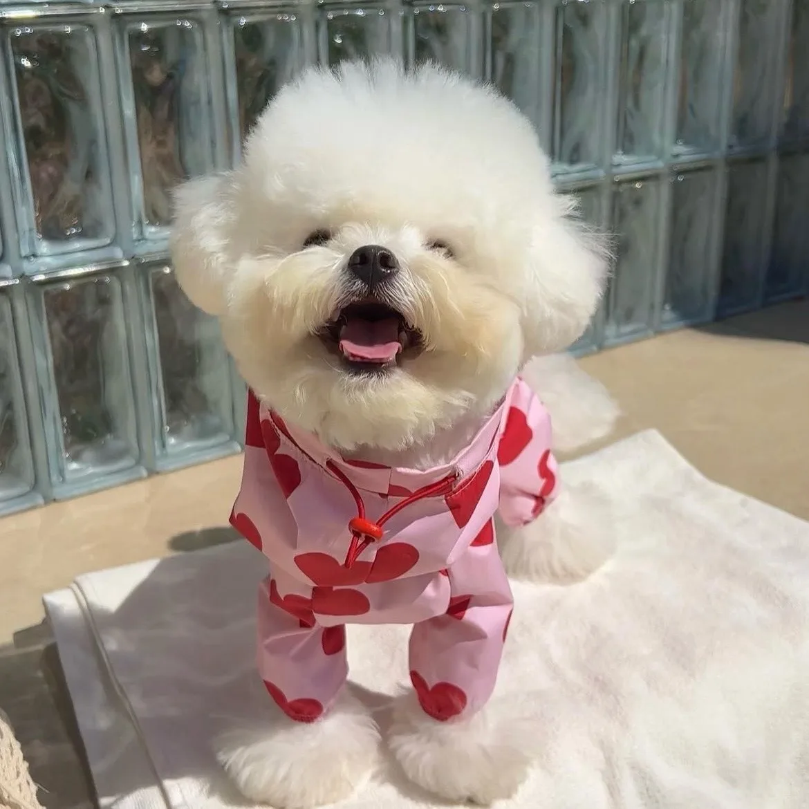 Ins multi en uno impermeable en forma de corazón con estampado de nubes impermeable para mascotas modelo de perro lindo con capucha ropa para perros Mascotas disfraz para perro - imagen 5