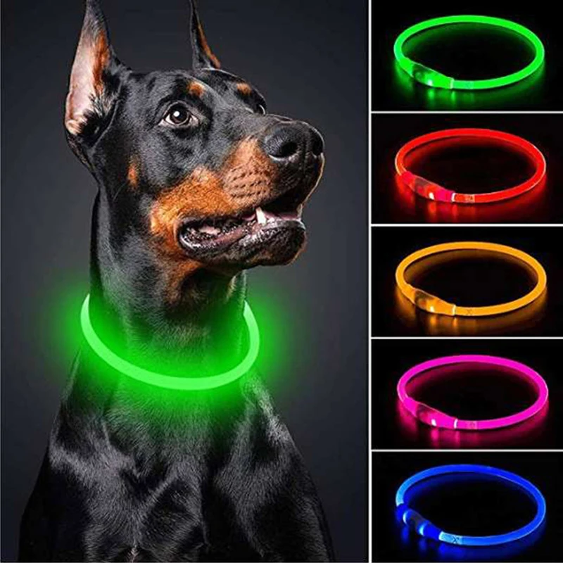 Collar LED Perro - Demostración de uso