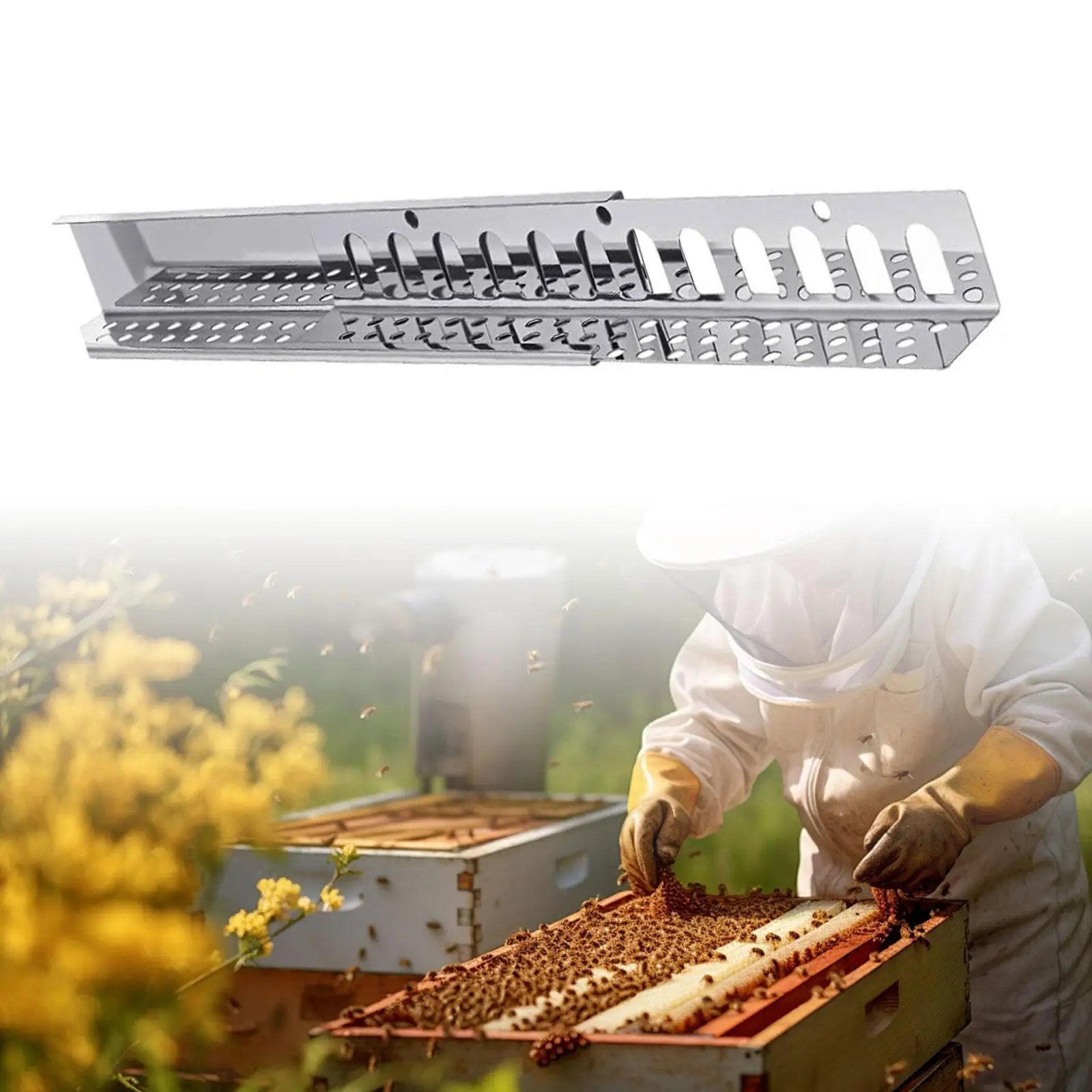 Beehive Entrance Reducer and Guard Sliding Guard Hive Tool for Supplies for 8 or