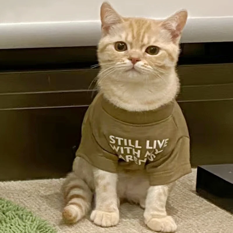 Yeni Kedi Köpek Yelek Yuvarlak Boyun T-shirt Küçük Köpekler Kediler için Mektup Baskı Pet Taban Katman Gömlek Kazak Yavru Giyim Kıyafet - imagen 5